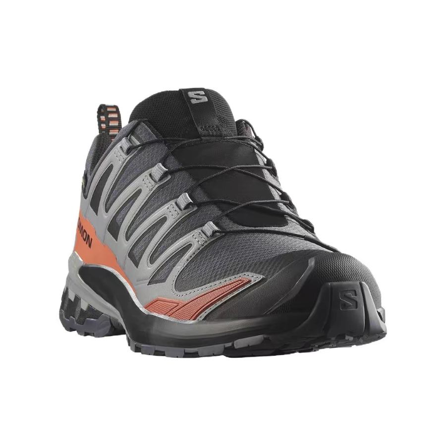 Salomon XA Pro 3D V9 GTX: Têni - Salomon Shoes Xa Pro 3D avaliação e preço